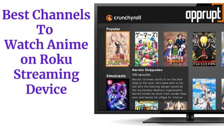 watch anime on roku	
