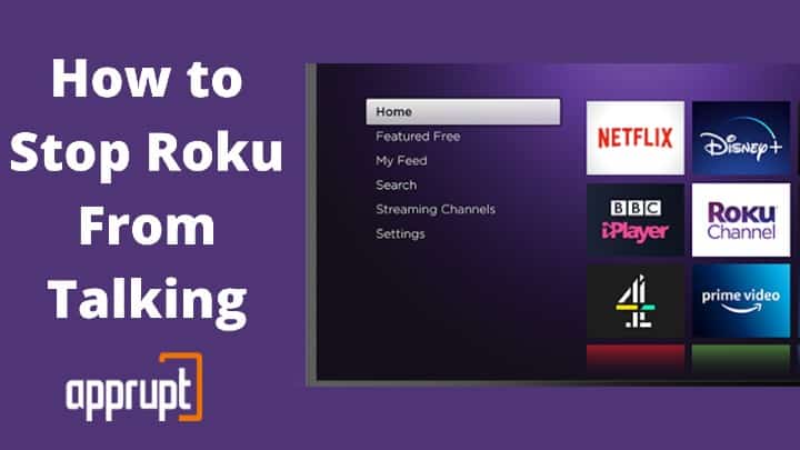 How To Turn Off Roku Talking