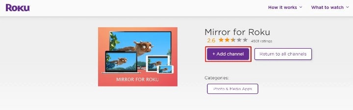 add Mirror for Roku