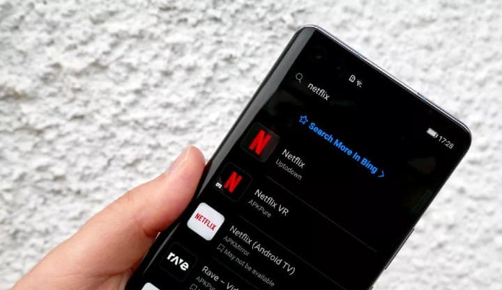 Update the Roku and Netflix App if netflix won't load on roku