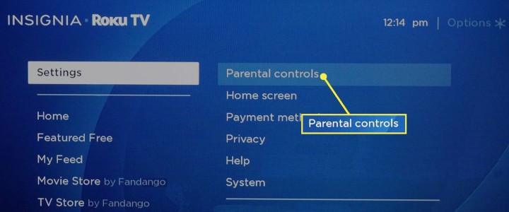 Check Roku Parental Controls if netflix on roku not working