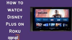 disney+ on roku