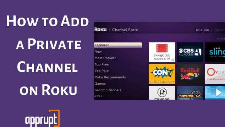 Add Private Channel to Roku