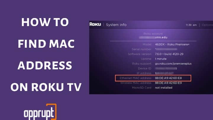 roku tv mac address