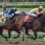 How to Watch Horse Racing Live from Anywhere